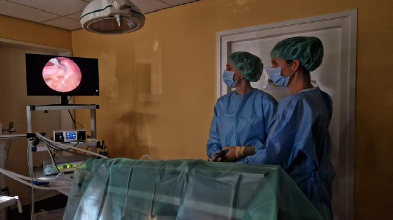 laparoscopische sterilisatie Roermond